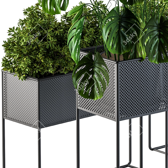 Green Oasis Indoor Plant Collection 3D model image 2