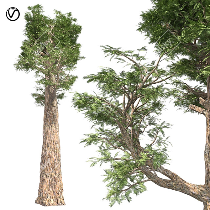 Giant Redwood Tree Sculpture 3D model image 1