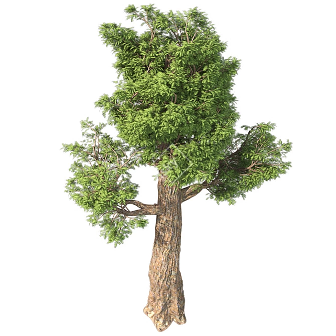 Giant Redwood Tree Sculpture 3D model image 3