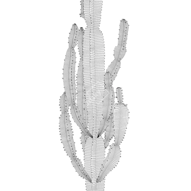 Euphorbia Candelabrum: Indoor Cactus 3D model image 4