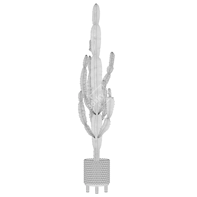 Euphorbia Candelabrum: Indoor Cactus 3D model image 5