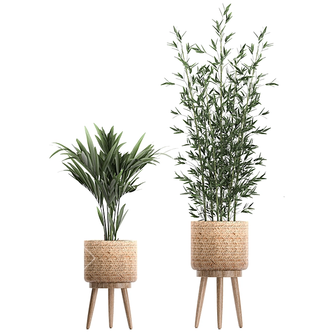 Exotic Indoor Plant Basket Collection 3D model image 3