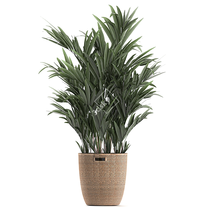 Exotic Indoor Plant Basket Collection 3D model image 4