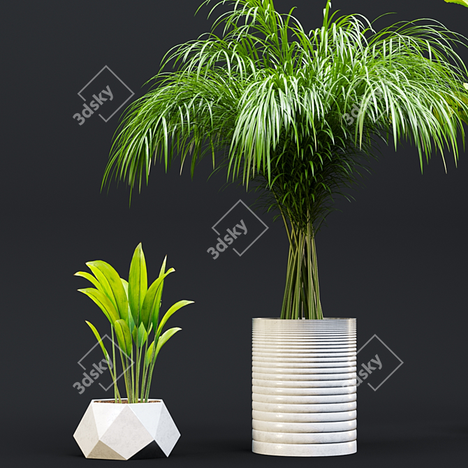 Exotic Houseplant Collection 3D model image 2