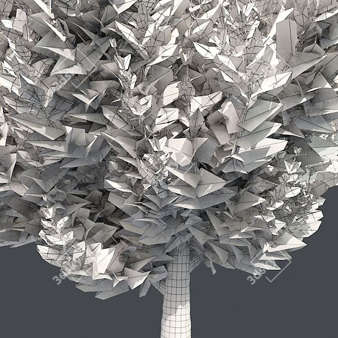 Hollywood Juniper 02: Realistic Quad-Optimized Tree 3D model image 4