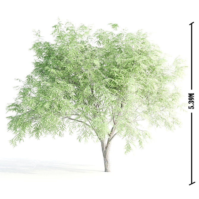 Exquisite Foliage Collection: 5 Spectacular Trees 3D model image 3