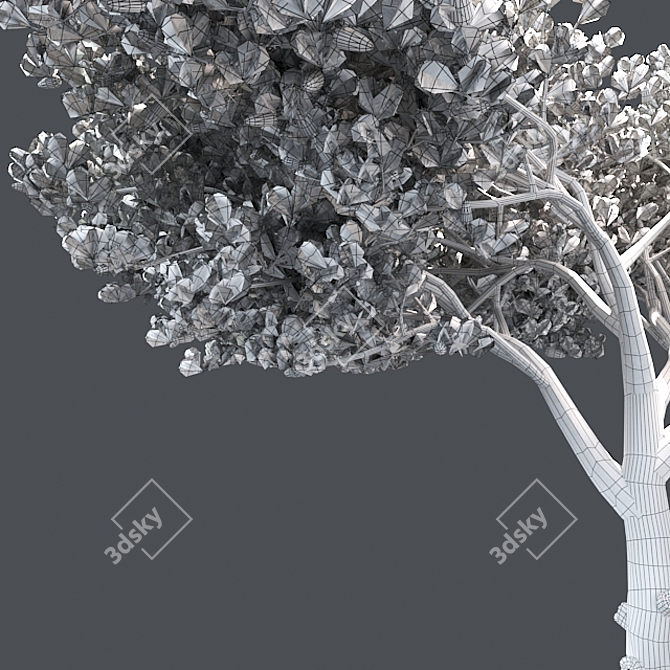 Italian Cypress 3D Tree 3D model image 5