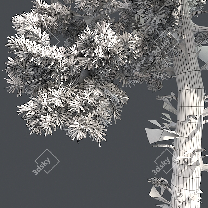 Lush Loblolly Pine: Optimal Quad Topology 3D model image 5