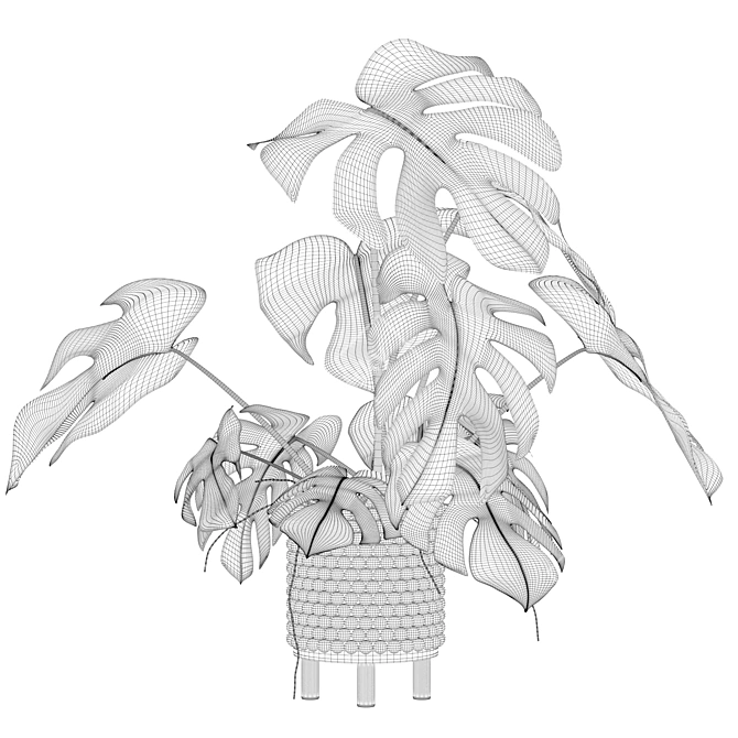 Tropical Monstera Plant - 90cm 3D model image 4