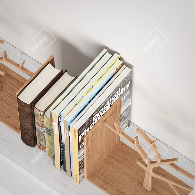 Corona 3.2 Book Decor Set 3D model image 11