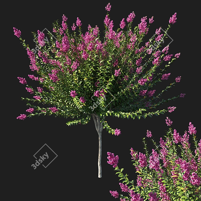 Exquisite Myrtle Tree Sculpture 3D model image 1