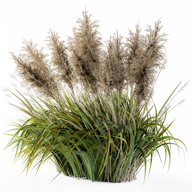 Lush Pampas Bliss: Exquisite Beauty 3D model image 1