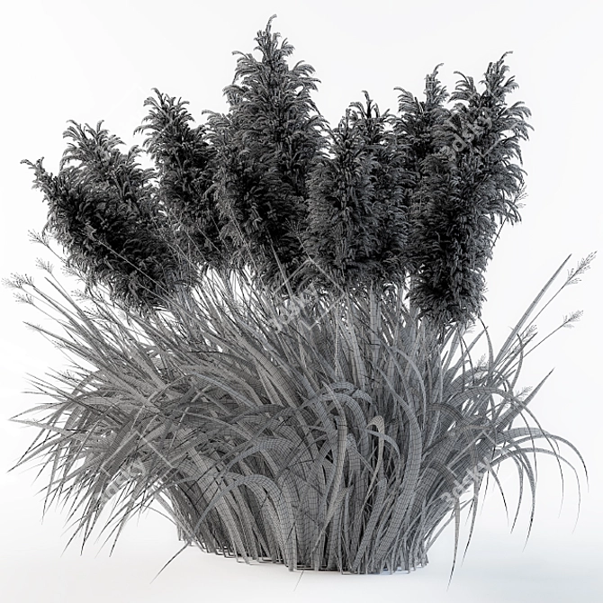 Lush Pampas Bliss: Exquisite Beauty 3D model image 3