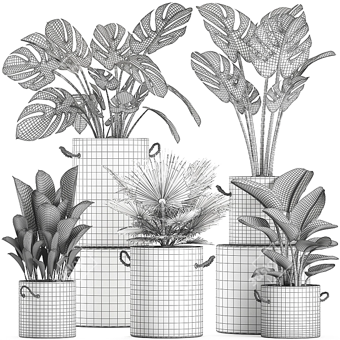 Tropical Plant Collection 3D model image 5