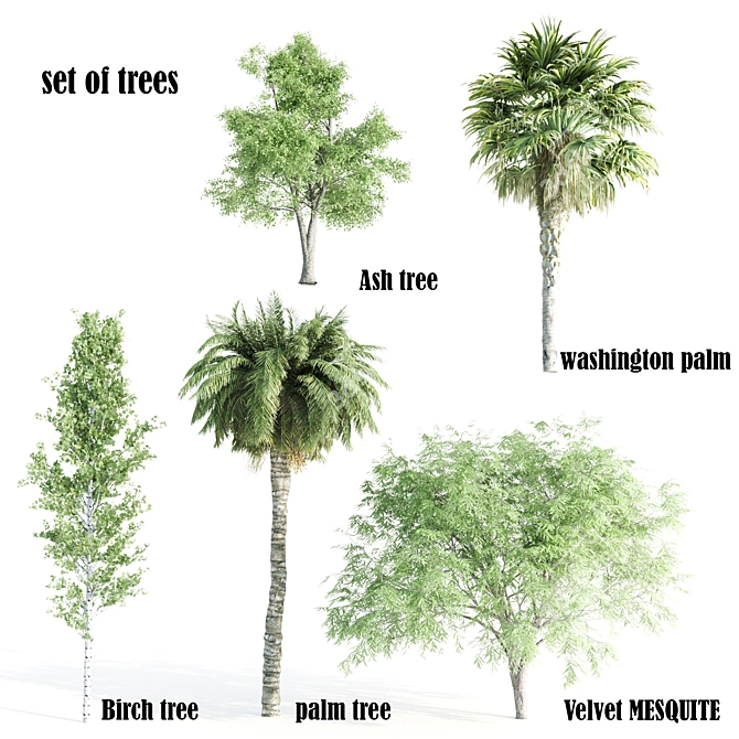 Nature's Grove 5 Tree Set 3D model image 1