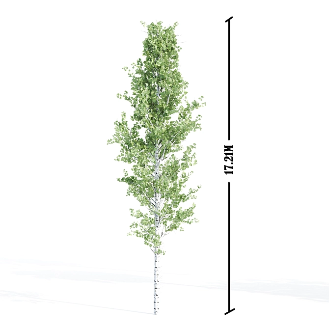 Nature's Grove 5 Tree Set 3D model image 2