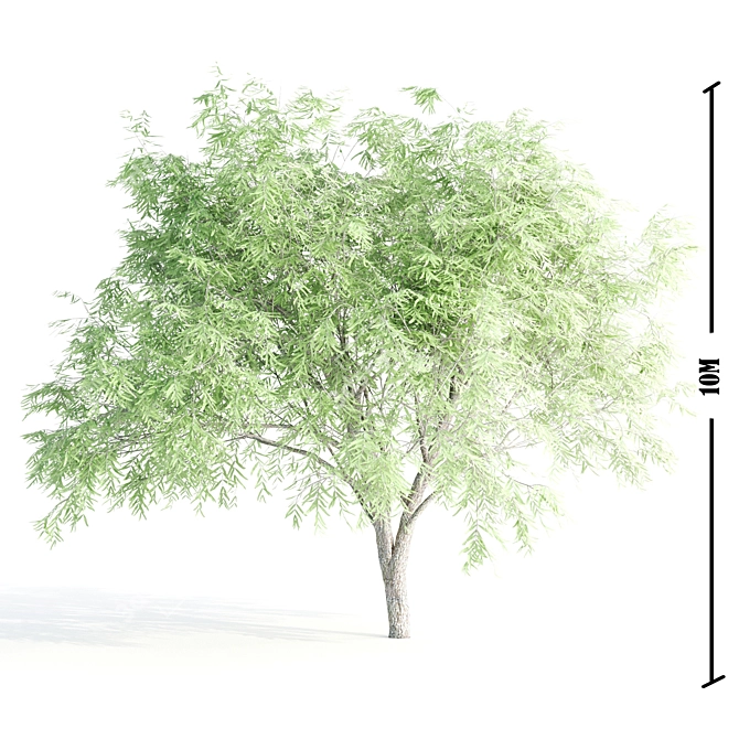 Nature's Grove 5 Tree Set 3D model image 5