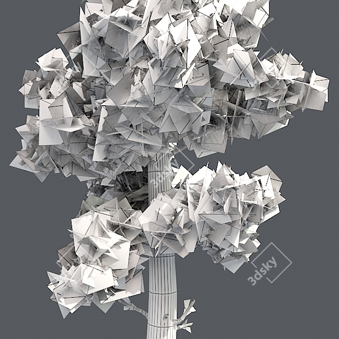 Optimized Conifer Tree Model 3D model image 5