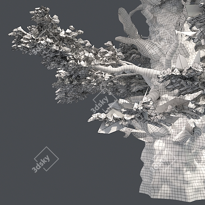 Optimized Western Juniper Tree 3D model image 5