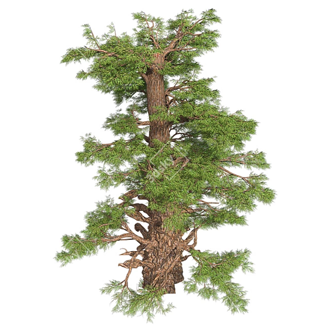 Optimized Western Juniper 99% Quad Tree 3D model image 3