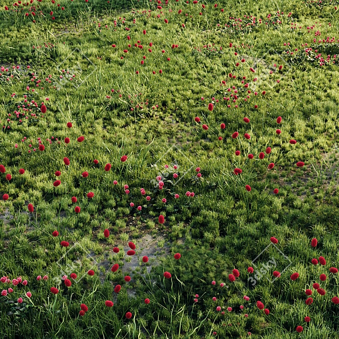 Lush Meadow Grass Scatter 3D model image 3