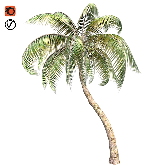 Tropical Bliss: Palm Coconut Dream 3D model image 1