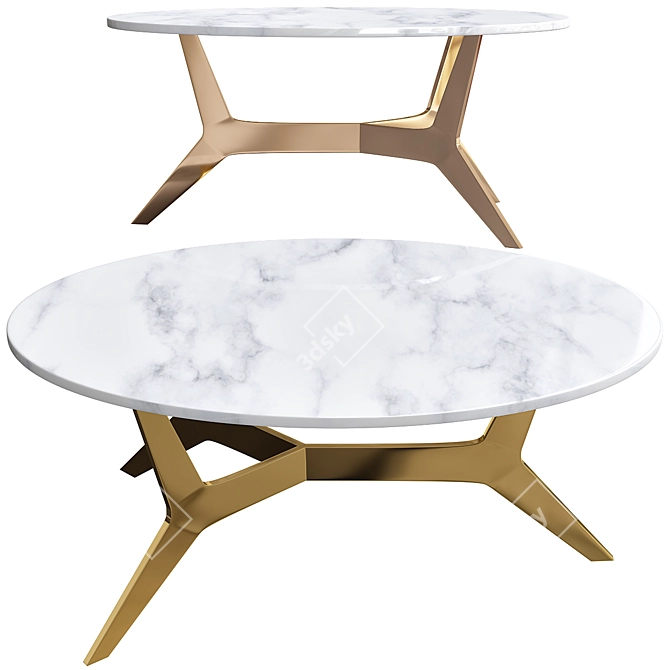 Elegant Cameo Marble Coffee Table 3D model image 1