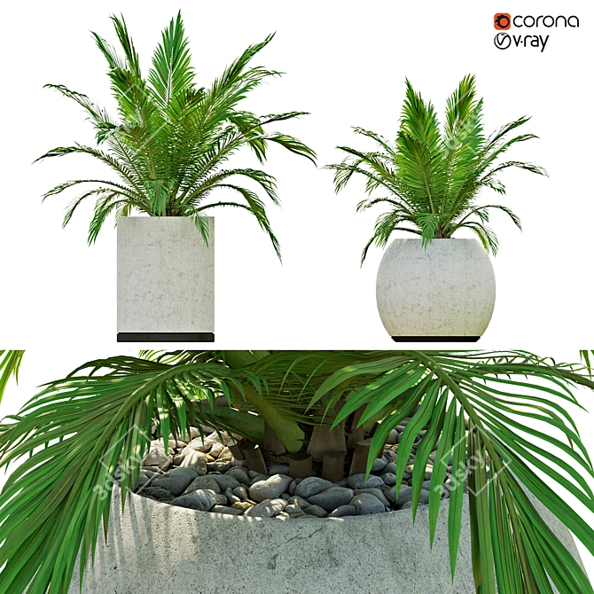 Pair of Majestic Palms in Pot 3D model image 1