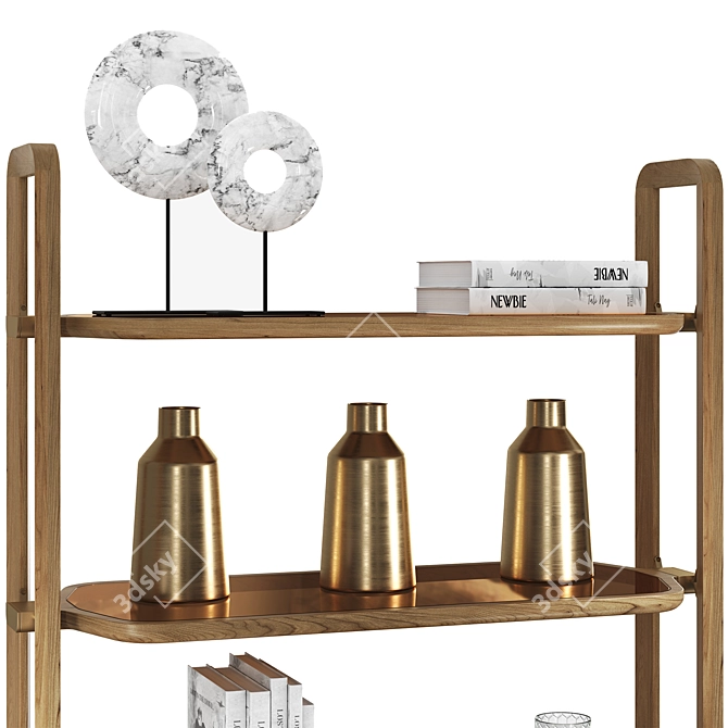 EDEN-ROCK Bookcase: Sleek Design with Bronze Glass Shelves & Wooden Frame 3D model image 3