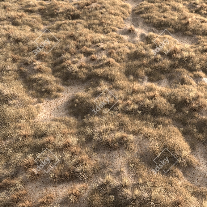  Rustic Dried Grass Bundle 3D model image 2