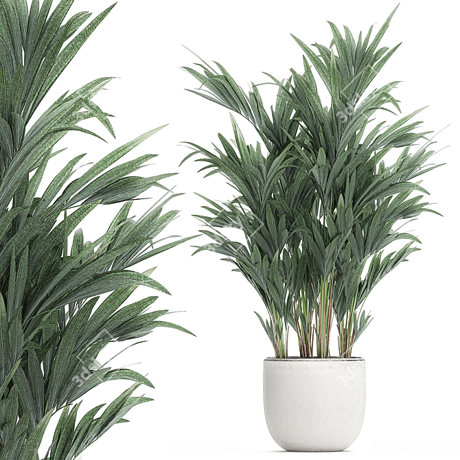 Exotic Palm Collection in White Pot 3D model image 1