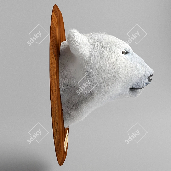 Arctic Beauty Sculpted Polar Bear 3D model image 2