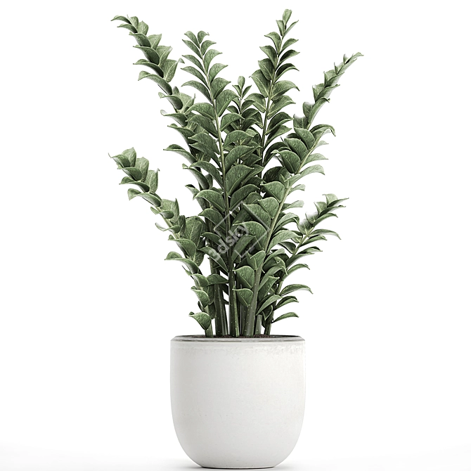 Exotic Tropical Plants in White Pots 3D model image 2