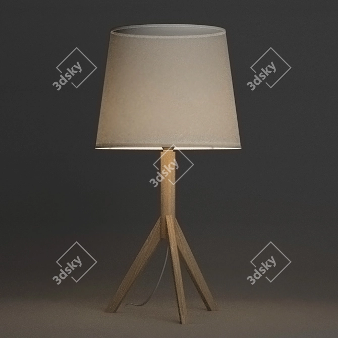 Minimalist Table Lamp: Faro Hat - Wood Base, Fabric Shade 3D model image 2