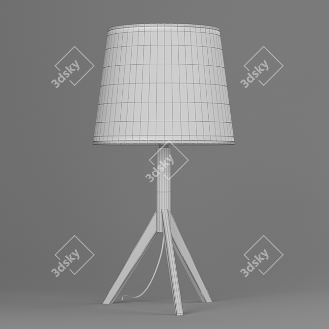 Minimalist Table Lamp: Faro Hat - Wood Base, Fabric Shade 3D model image 3