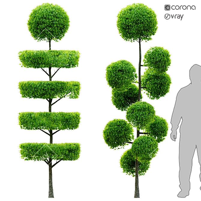 Dual Shrub Duo: 2.5m Height 3D model image 1