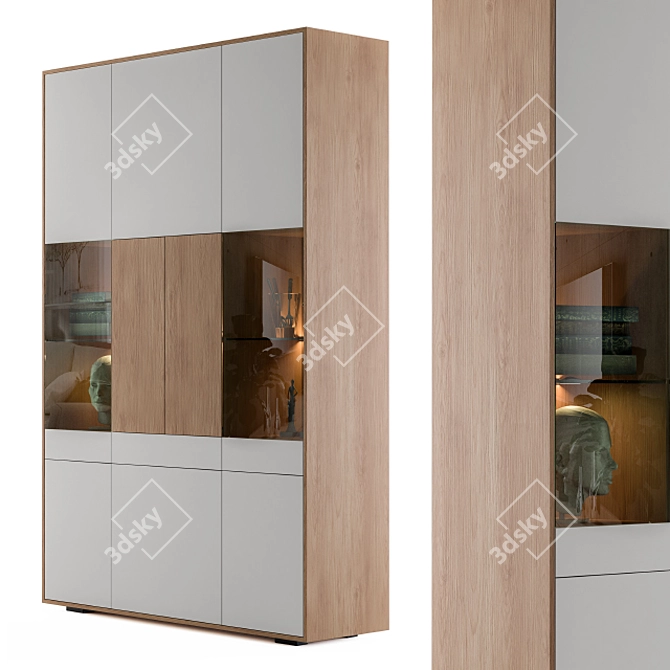 Stylish Modern Display Cabinet 3D model image 1