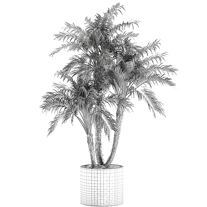 Tropical Paradise Collection: Exotic Indoor Palm Trees - Set of 4 3D model image 5