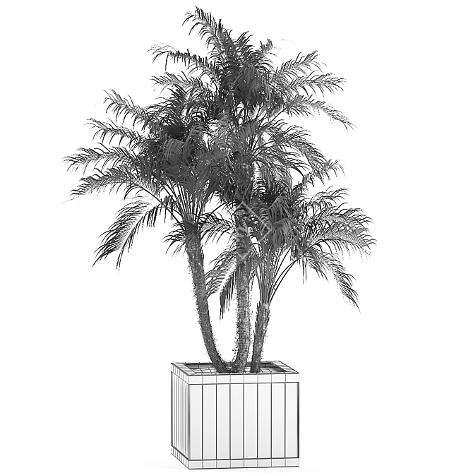 Tropical Plant Collection: Exotic Indoor Palms 3D model image 5