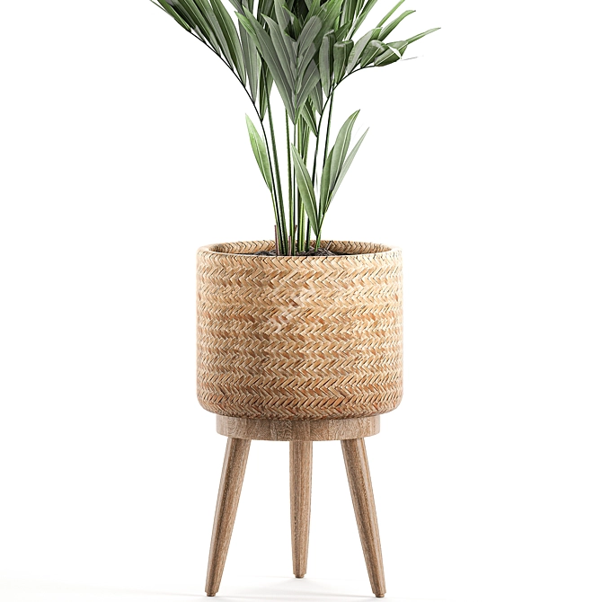 Tropical Palm Collection in Decorative Basket 3D model image 3