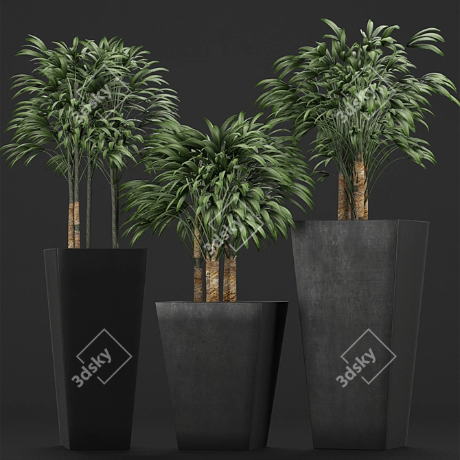 Title: Exotic Palm Trees for Stunning Decor 3D model image 1