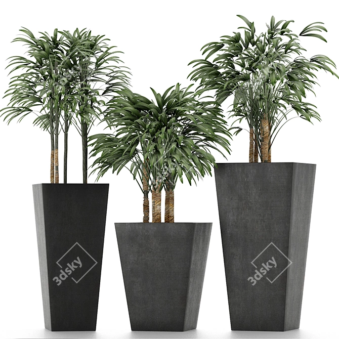 Title: Exotic Palm Trees for Stunning Decor 3D model image 2