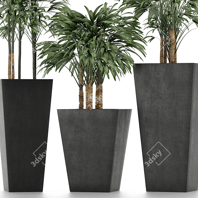 Title: Exotic Palm Trees for Stunning Decor 3D model image 3