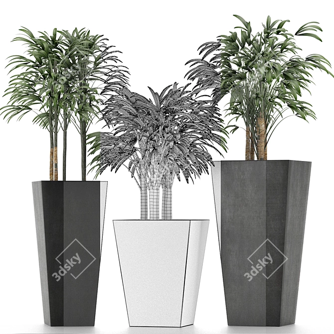 Title: Exotic Palm Trees for Stunning Decor 3D model image 4