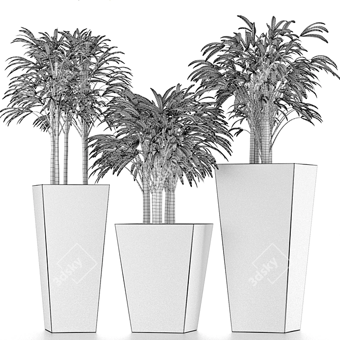 Title: Exotic Palm Trees for Stunning Decor 3D model image 5