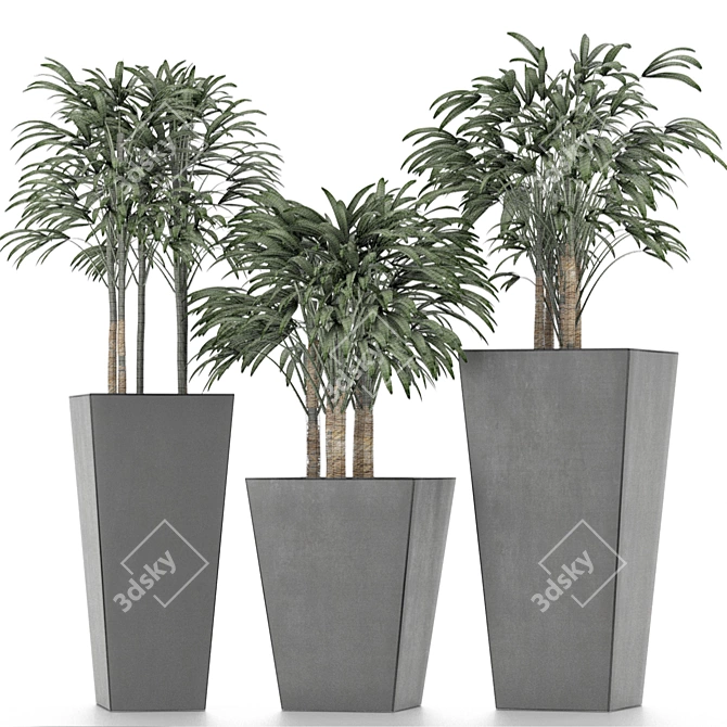 Title: Exotic Palm Trees for Stunning Decor 3D model image 6
