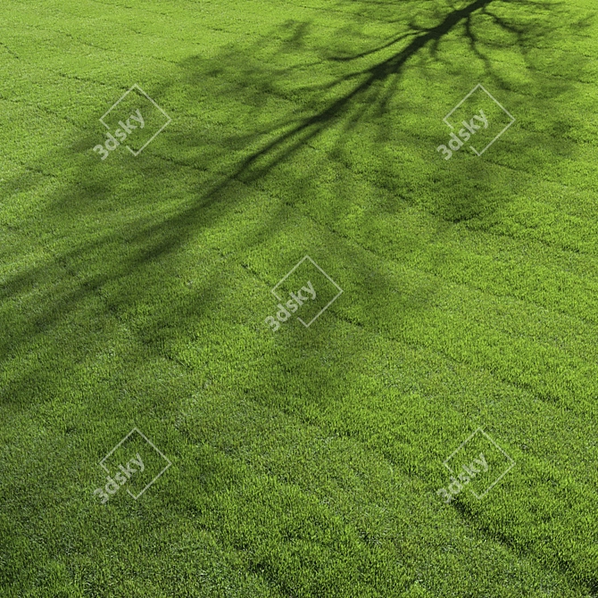 Premium Turf - Lush Lawn Grass 3D model image 2