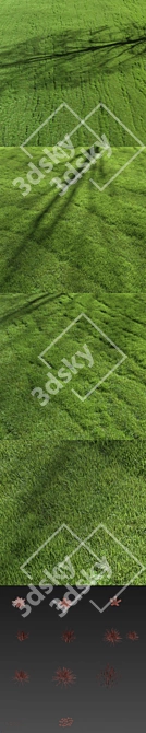 Premium Turf - Lush Lawn Grass 3D model image 4