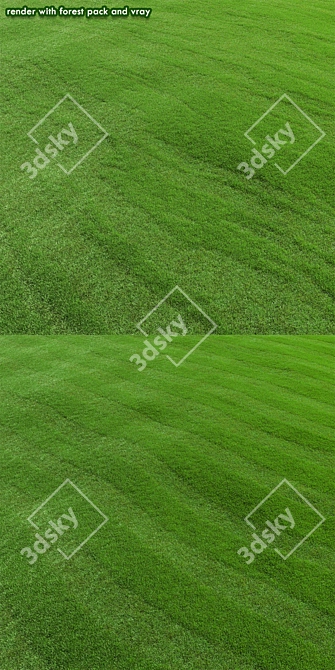 Premium Turf - Lush Lawn Grass 3D model image 5