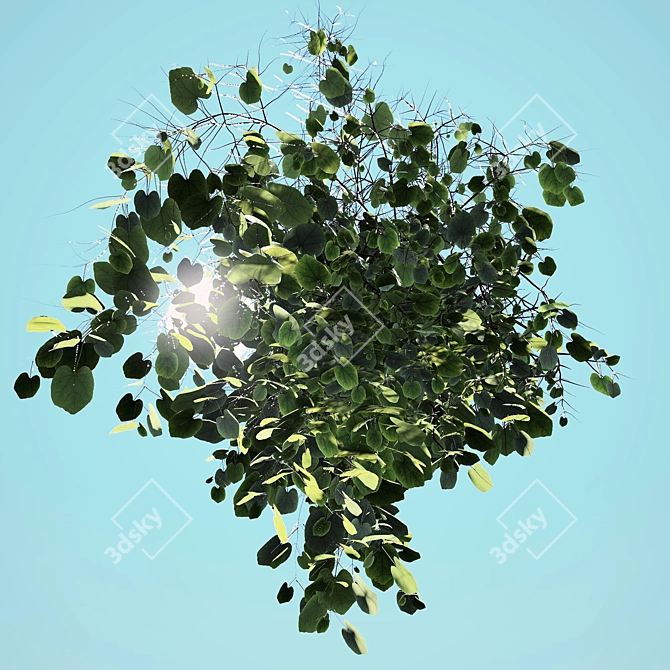 Spectacular Outdoor Plant - 1m x 1.5m x 2m 3D model image 3